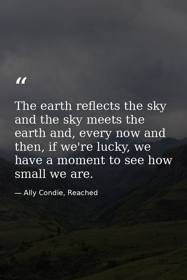 The earth reflects the sky and the sky meets the earth and, every now and then, if we're lucky, we have a moment to see  — Ally Condie, Reached