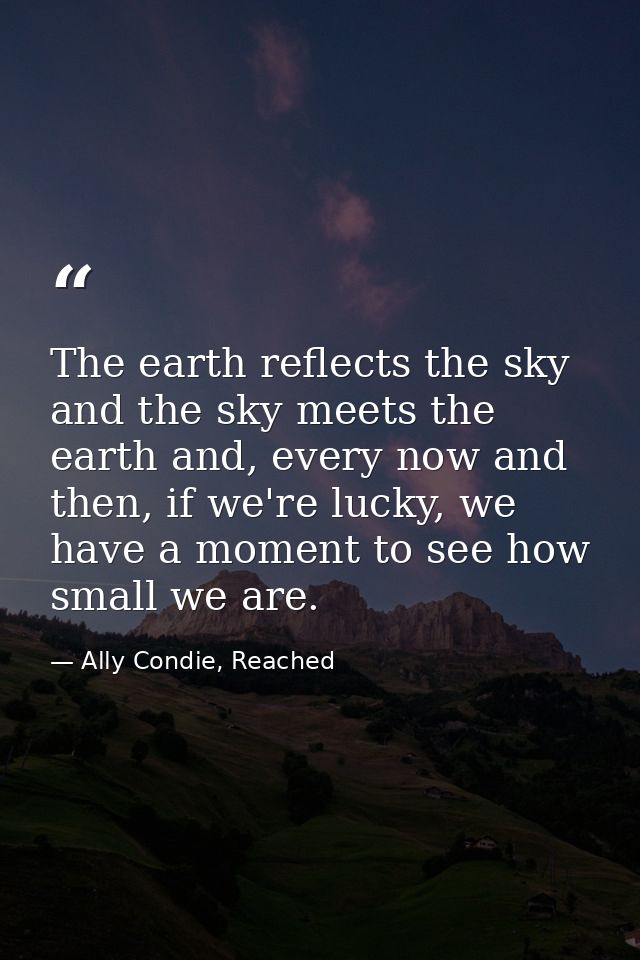 The earth reflects the sky and the sky meets the earth and, every now and then, if we're lucky, we have a moment to see  — Ally Condie, Reached