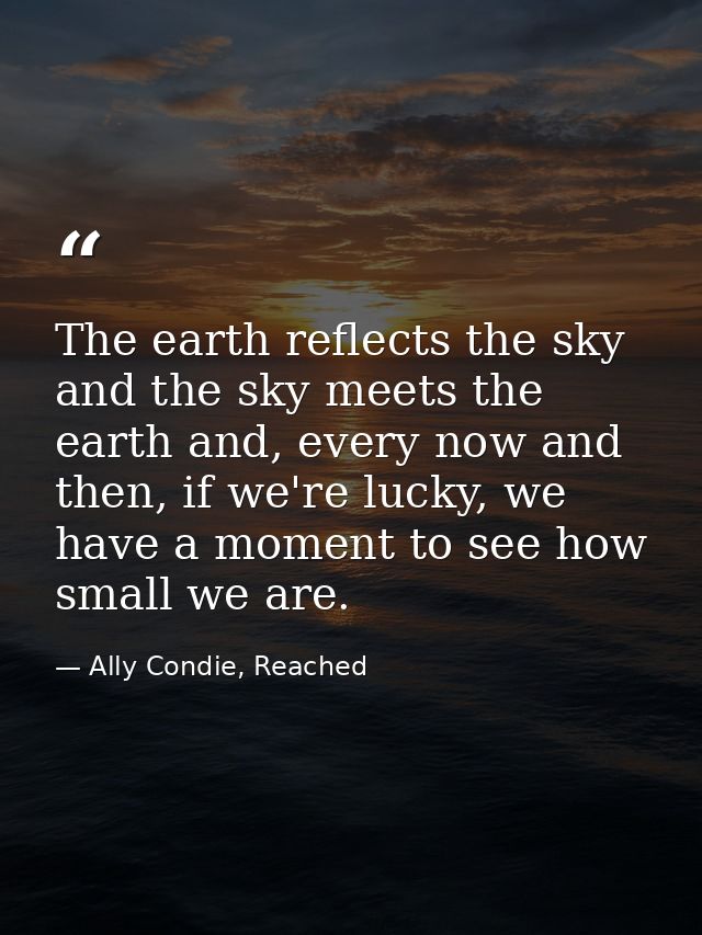 The earth reflects the sky and the sky meets the earth and, every now and then, if we're lucky, we have a moment to see  — Ally Condie, Reached