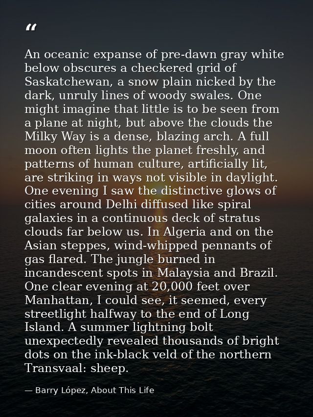 An oceanic expanse of pre-dawn gray white below obscures a checkered grid of Saskatchewan, a snow plain nicked by the da — Barry López, About This Life