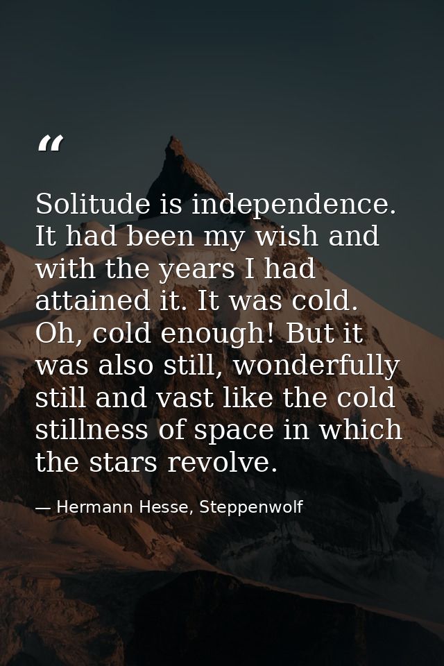 Solitude is independence. It had been my wish and with the years I had attained it. It was cold. Oh, cold enough! But it — Hermann Hesse, Steppenwolf
