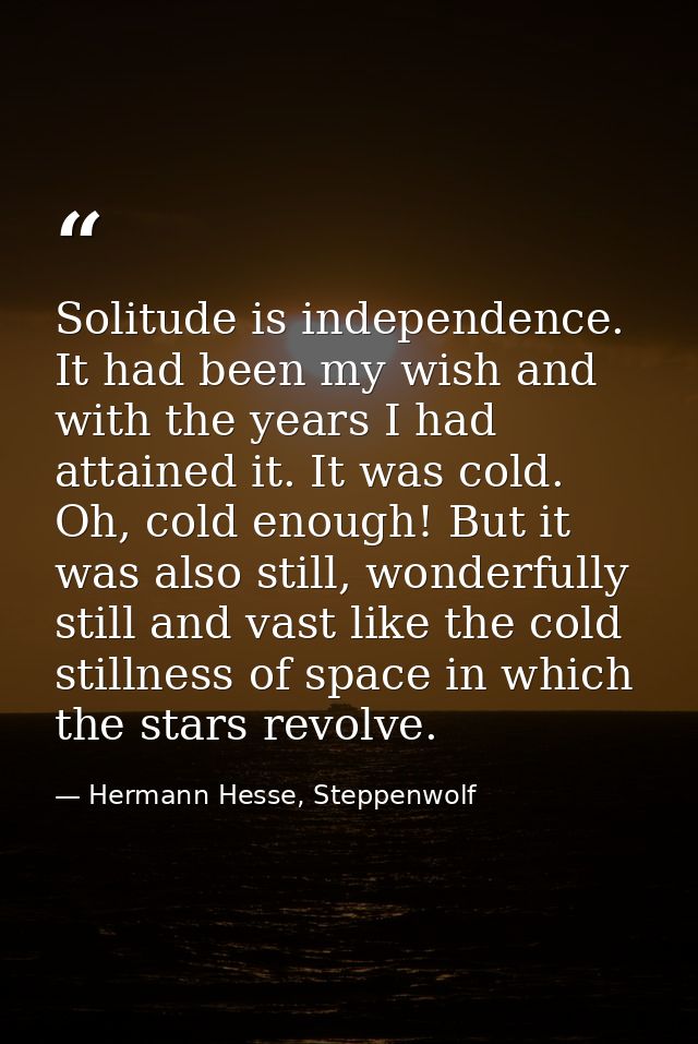 Solitude is independence. It had been my wish and with the years I had attained it. It was cold. Oh, cold enough! But it — Hermann Hesse, Steppenwolf