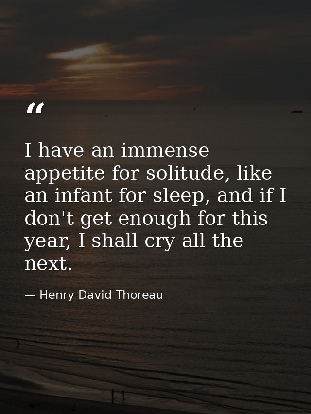 I have an immense appetite for solitude, like an infant for sleep, and if I don't get enough for this year, I shall cry  — Henry David Thoreau