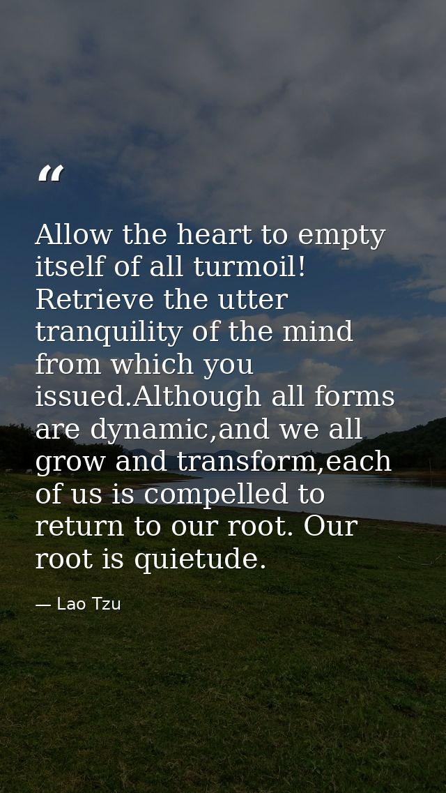 Allow the heart to empty itself of all turmoil! Retrieve the utter tranquility of the mind from which you issued.Althoug — Lao Tzu