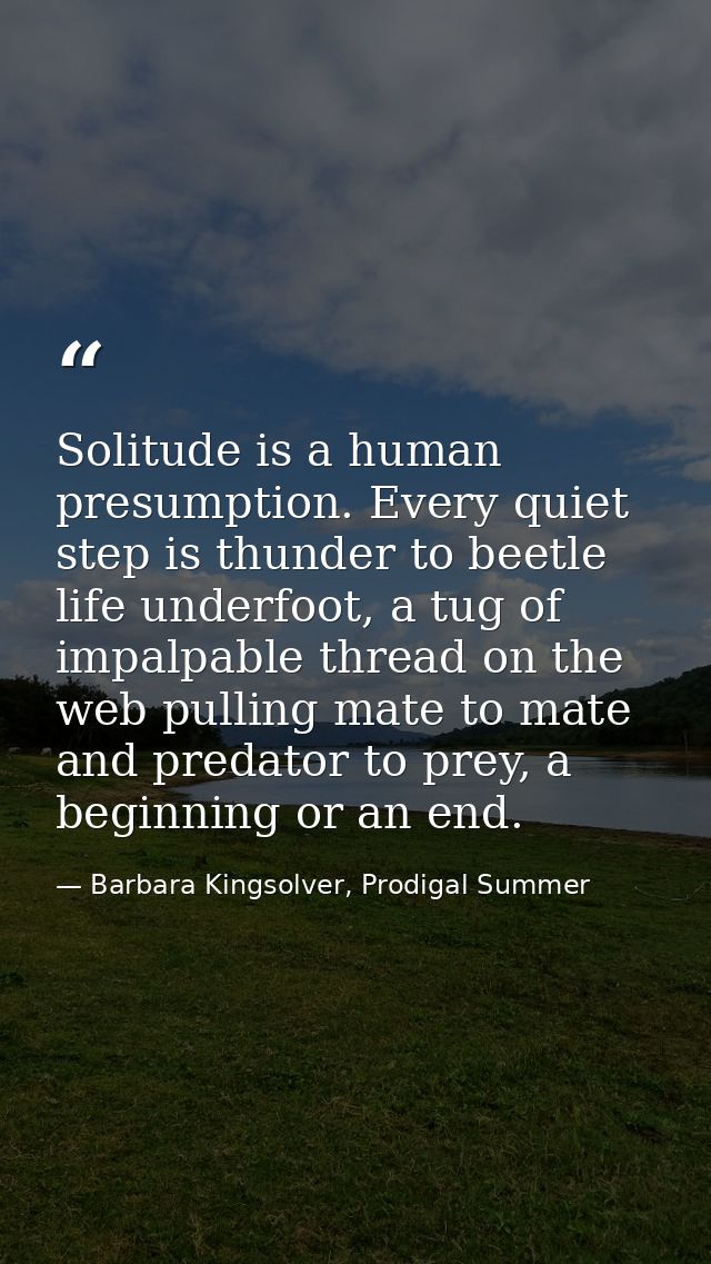 Solitude is a human presumption. Every quiet step is thunder to beetle life underfoot, a tug of impalpable thread on the — Barbara Kingsolver, Prodigal Summer