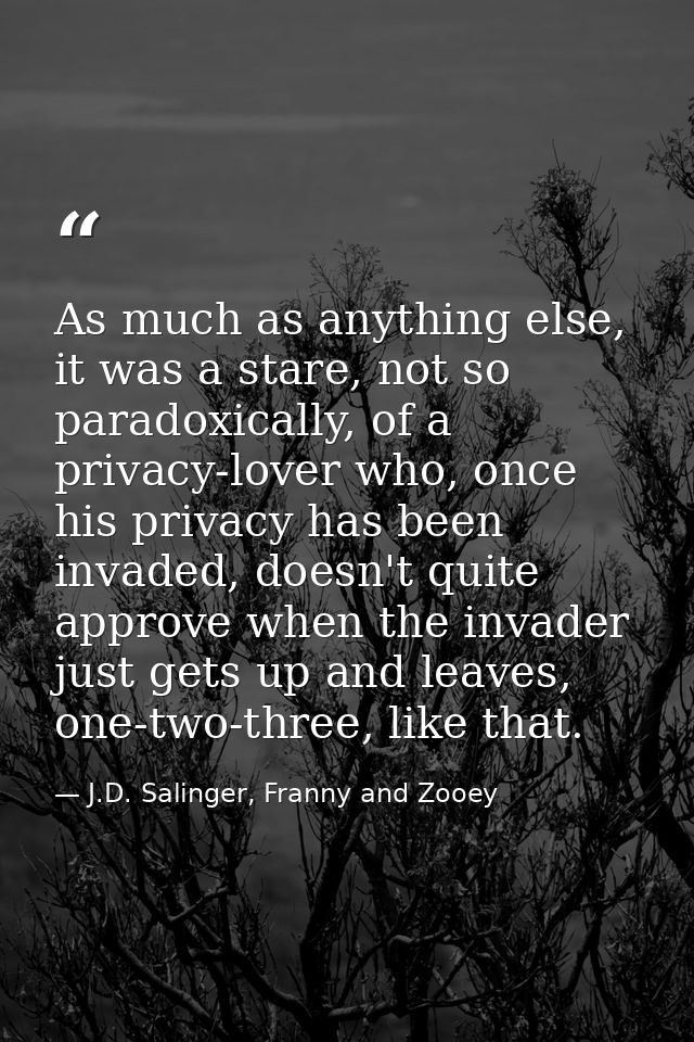As much as anything else, it was a stare, not so paradoxically, of a privacy-lover who, once his privacy has been invade — J.D. Salinger, Franny and Zooey