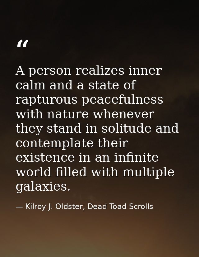 A person realizes inner calm and a state of rapturous peacefulness with nature whenever they stand in solitude and conte — Kilroy J. Oldster, Dead Toad Scrolls