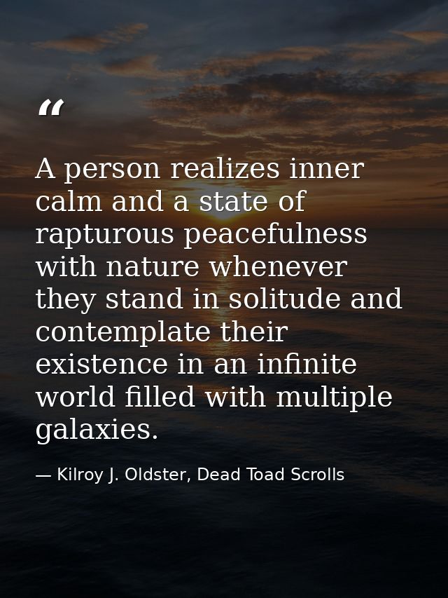 A person realizes inner calm and a state of rapturous peacefulness with nature whenever they stand in solitude and conte — Kilroy J. Oldster, Dead Toad Scrolls