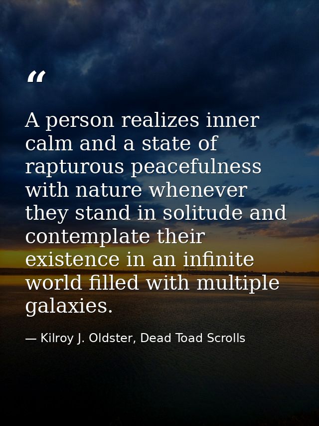 A person realizes inner calm and a state of rapturous peacefulness with nature whenever they stand in solitude and conte — Kilroy J. Oldster, Dead Toad Scrolls