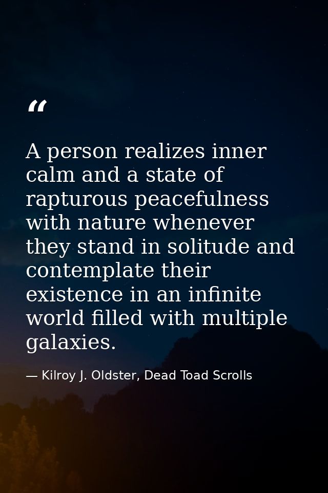 A person realizes inner calm and a state of rapturous peacefulness with nature whenever they stand in solitude and conte — Kilroy J. Oldster, Dead Toad Scrolls