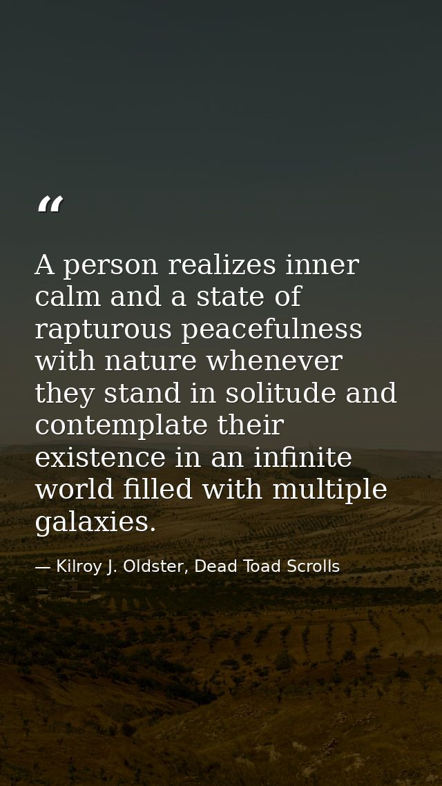 A person realizes inner calm and a state of rapturous peacefulness with nature whenever they stand in solitude and conte — Kilroy J. Oldster, Dead Toad Scrolls