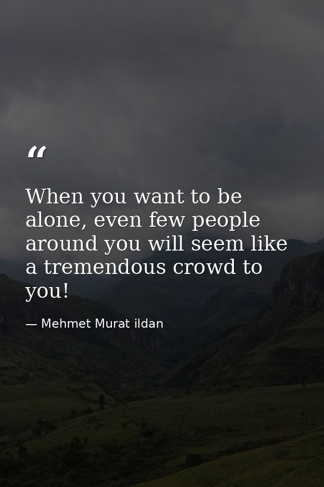 When you want to be alone, even few people around you will seem like a tremendous crowd to you! — Mehmet Murat ildan