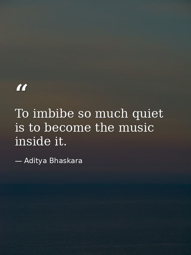 To imbibe so much quiet is to become the music inside it. — Aditya Bhaskara