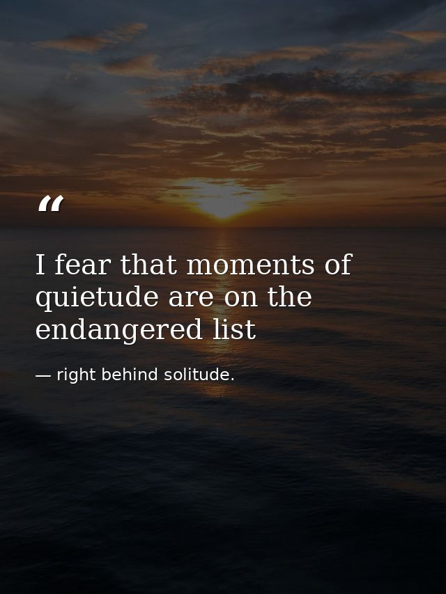 I fear that moments of quietude are on the endangered list — right behind solitude.