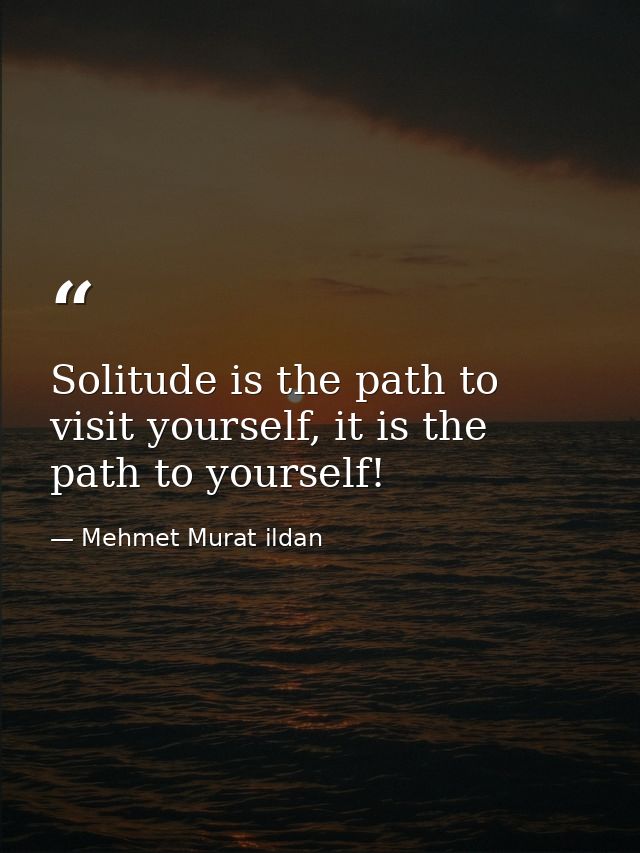 Solitude is the path to visit yourself, it is the path to yourself! — Mehmet Murat ildan