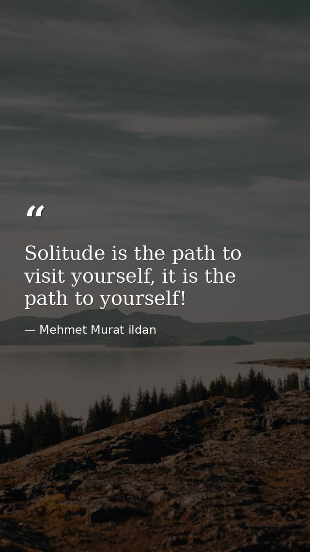Solitude is the path to visit yourself, it is the path to yourself! — Mehmet Murat ildan