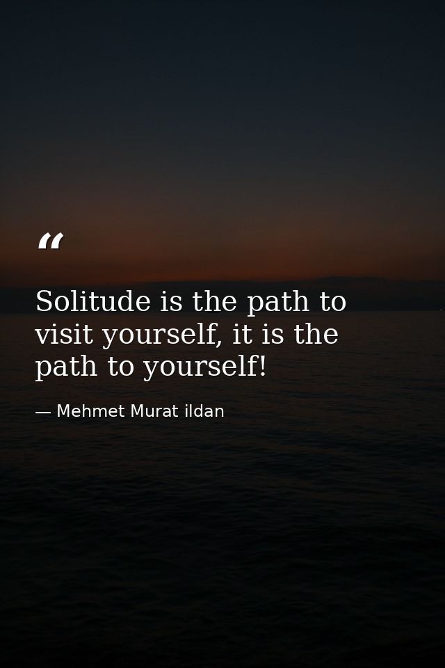 Solitude is the path to visit yourself, it is the path to yourself! — Mehmet Murat ildan