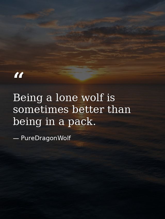 Being a lone wolf is sometimes better than being in a pack. — PureDragonWolf