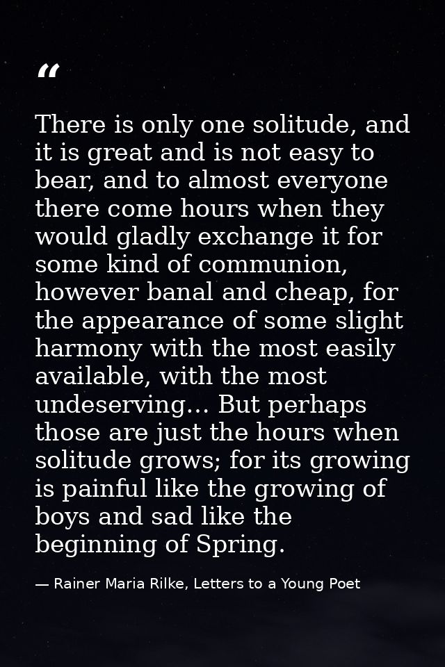 There is only one solitude, and it is great and is not easy to bear, and to almost everyone there come hours when they w — Rainer Maria Rilke, Letters to a Young Poet