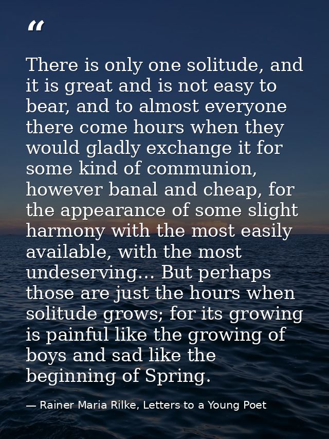 There is only one solitude, and it is great and is not easy to bear, and to almost everyone there come hours when they w — Rainer Maria Rilke, Letters to a Young Poet