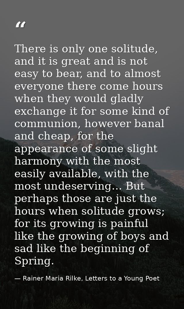 There is only one solitude, and it is great and is not easy to bear, and to almost everyone there come hours when they w — Rainer Maria Rilke, Letters to a Young Poet