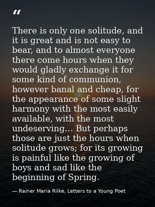 There is only one solitude, and it is great and is not easy to bear, and to almost everyone there come hours when they w — Rainer Maria Rilke, Letters to a Young Poet