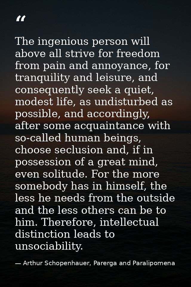 The ingenious person will above all strive for freedom from pain and annoyance, for tranquility and leisure, and consequ — Arthur Schopenhauer, Parerga and Paralipomena