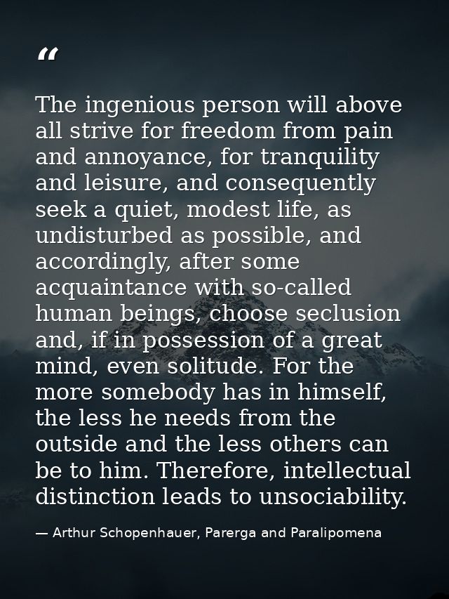 The ingenious person will above all strive for freedom from pain and annoyance, for tranquility and leisure, and consequ — Arthur Schopenhauer, Parerga and Paralipomena