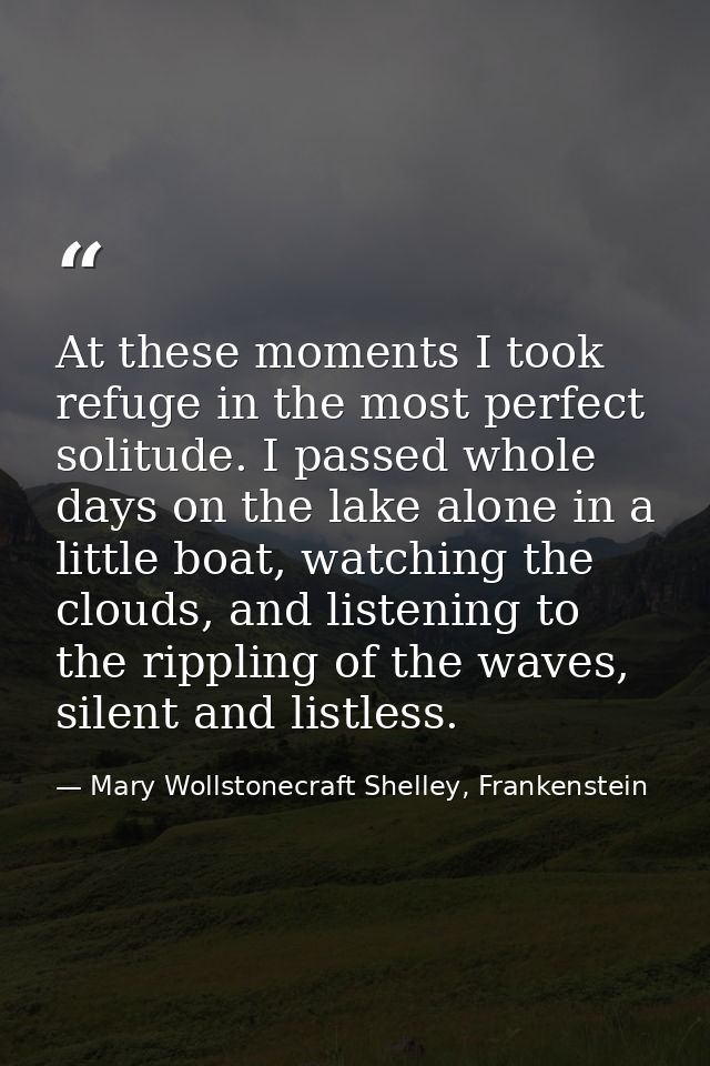 At these moments I took refuge in the most perfect solitude. I passed whole days on the lake alone in a little boat, wat — Mary Wollstonecraft Shelley, Frankenstein