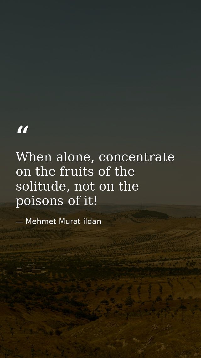 When alone, concentrate on the fruits of the solitude, not on the poisons of it! — Mehmet Murat ildan