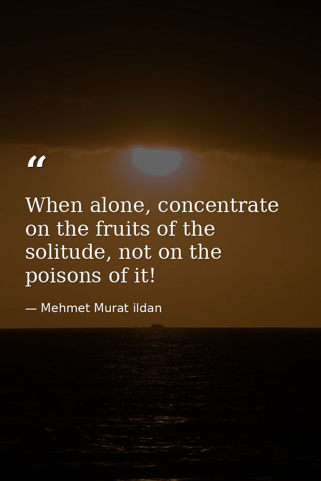 When alone, concentrate on the fruits of the solitude, not on the poisons of it! — Mehmet Murat ildan