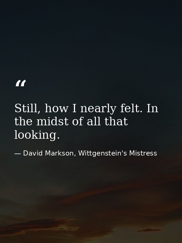 Still, how I nearly felt. In the midst of all that looking. — David Markson, Wittgenstein's Mistress