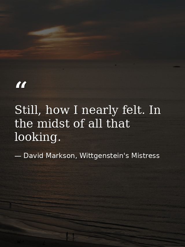 Still, how I nearly felt. In the midst of all that looking. — David Markson, Wittgenstein's Mistress