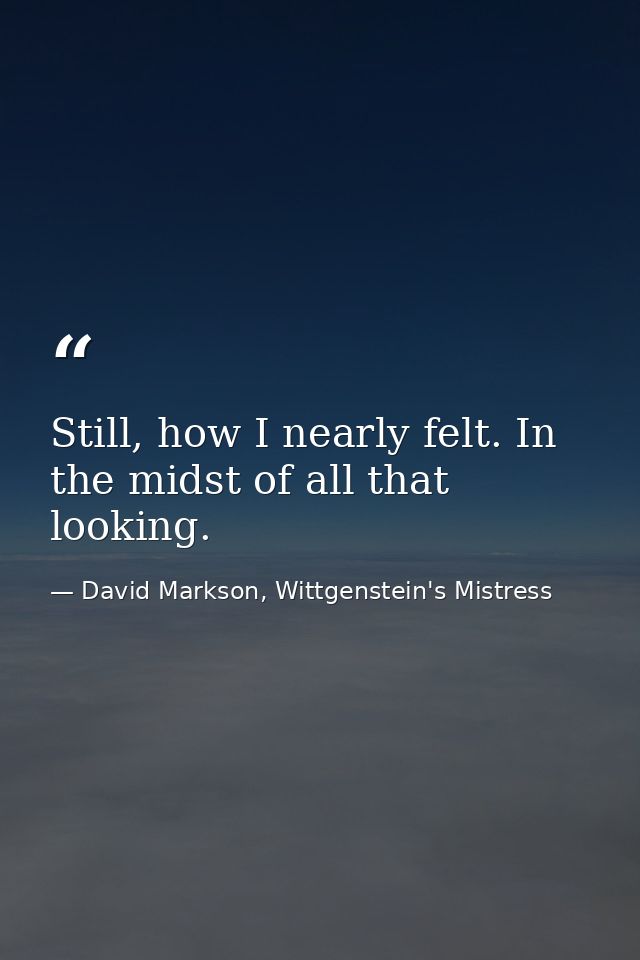 Still, how I nearly felt. In the midst of all that looking. — David Markson, Wittgenstein's Mistress