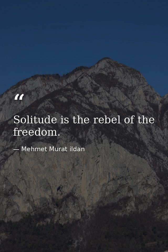 Solitude is the rebel of the freedom. — Mehmet Murat ildan