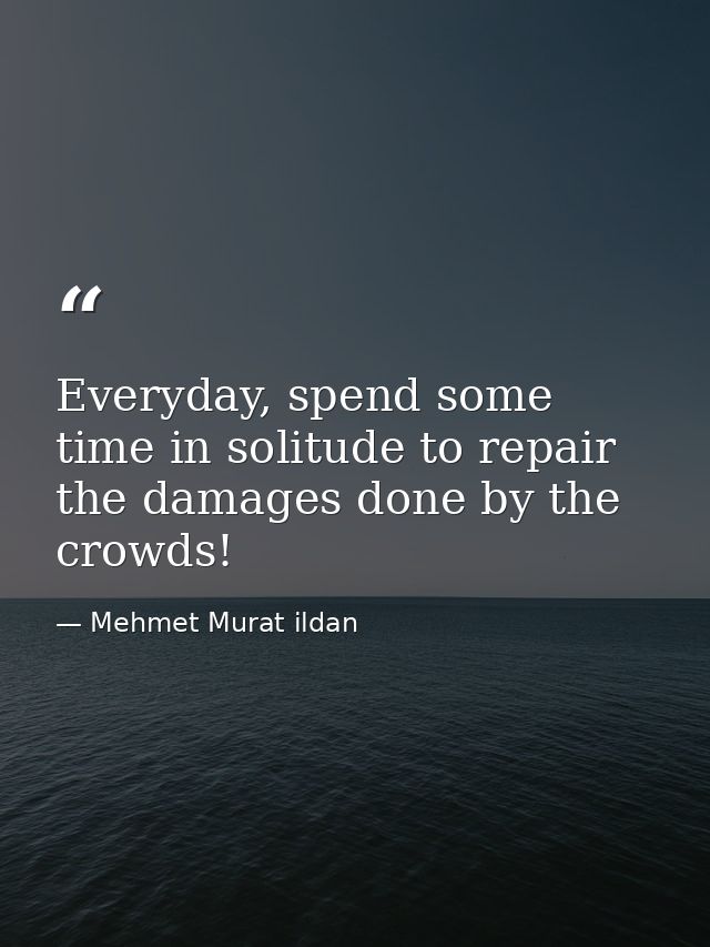 Everyday, spend some time in solitude to repair the damages done by the crowds! — Mehmet Murat ildan