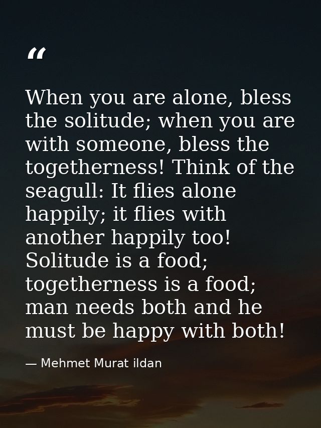 When you are alone, bless the solitude; when you are with someone, bless the togetherness! Think of the seagull: It flie — Mehmet Murat ildan