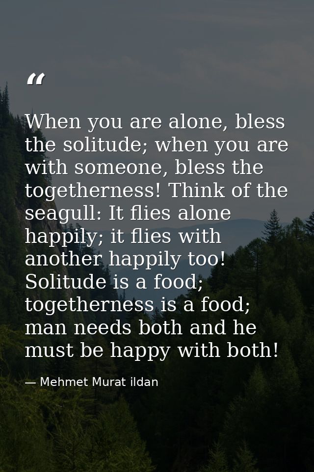 When you are alone, bless the solitude; when you are with someone, bless the togetherness! Think of the seagull: It flie — Mehmet Murat ildan