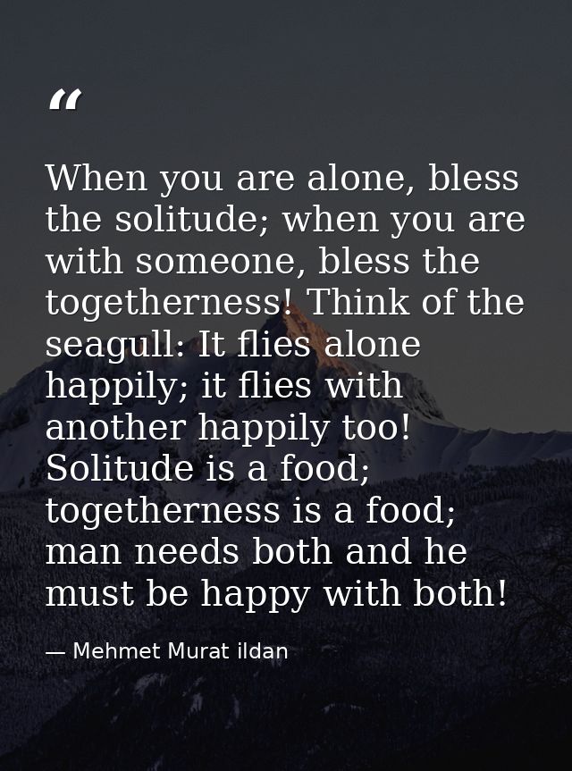 When you are alone, bless the solitude; when you are with someone, bless the togetherness! Think of the seagull: It flie — Mehmet Murat ildan