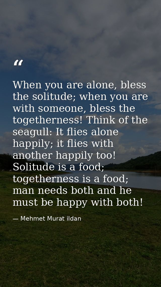 When you are alone, bless the solitude; when you are with someone, bless the togetherness! Think of the seagull: It flie — Mehmet Murat ildan
