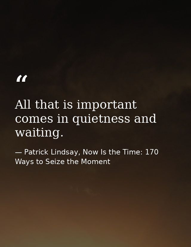 All that is important comes in quietness and waiting. — Patrick Lindsay, Now Is the Time: 170 Ways to Seize the Moment