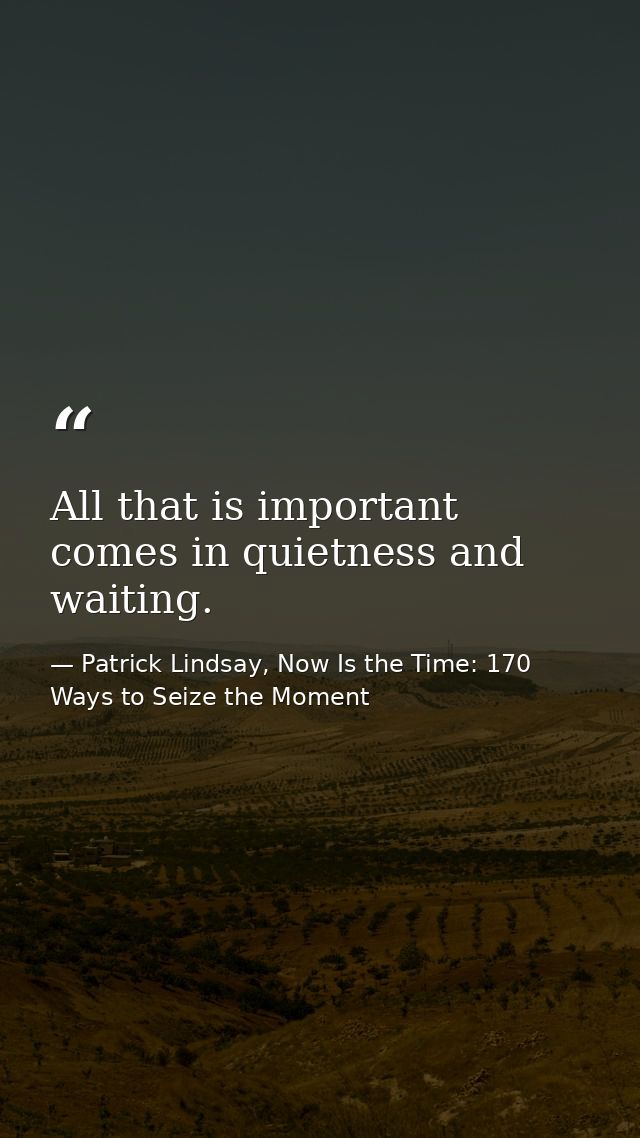 All that is important comes in quietness and waiting. — Patrick Lindsay, Now Is the Time: 170 Ways to Seize the Moment