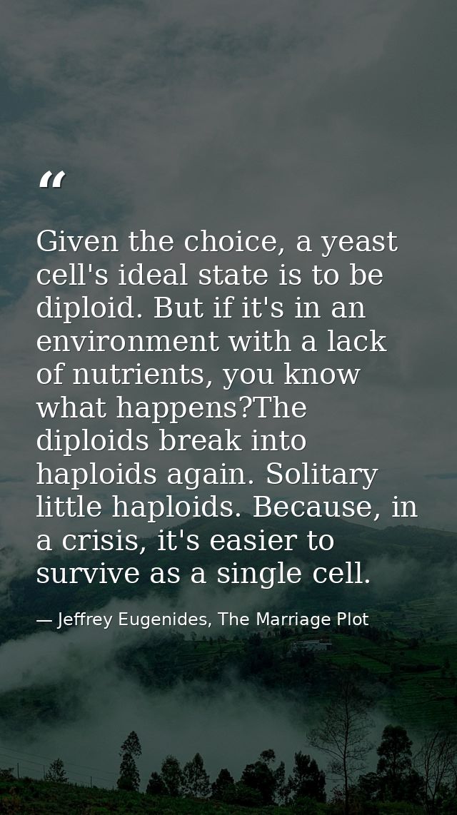 Given the choice, a yeast cell's ideal state is to be diploid. But if it's in an environment with a lack of nutrients, y — Jeffrey Eugenides, The Marriage Plot