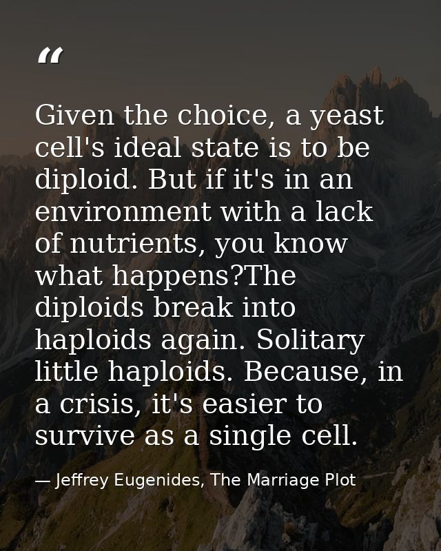 Given the choice, a yeast cell's ideal state is to be diploid. But if it's in an environment with a lack of nutrients, y — Jeffrey Eugenides, The Marriage Plot