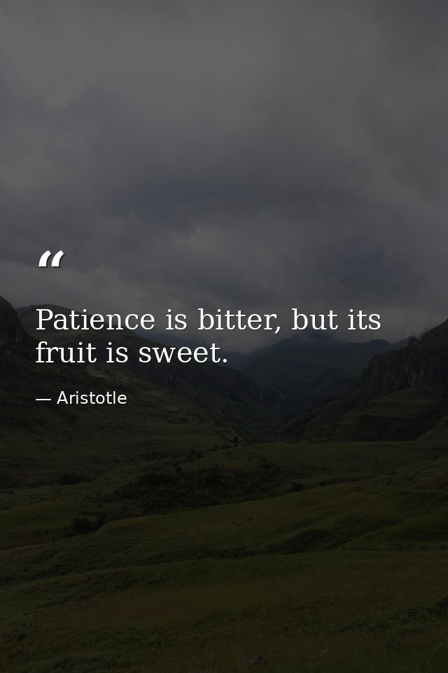 Patience is bitter, but its fruit is sweet. — Aristotle