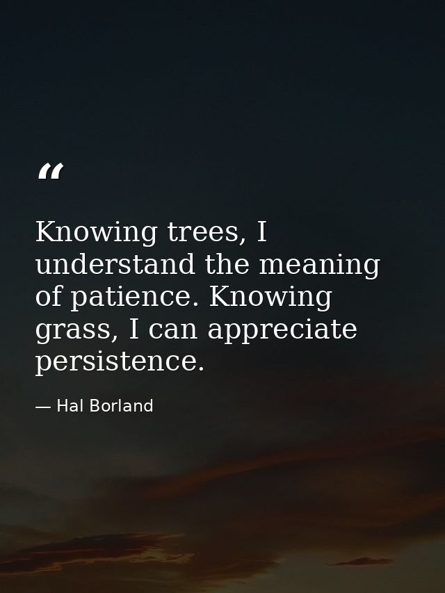 Knowing trees, I understand the meaning of patience. Knowing grass, I can appreciate persistence. — Hal Borland