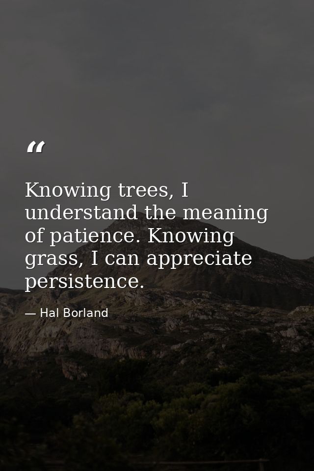 Knowing trees, I understand the meaning of patience. Knowing grass, I can appreciate persistence. — Hal Borland