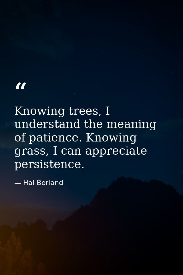 Knowing trees, I understand the meaning of patience. Knowing grass, I can appreciate persistence. — Hal Borland