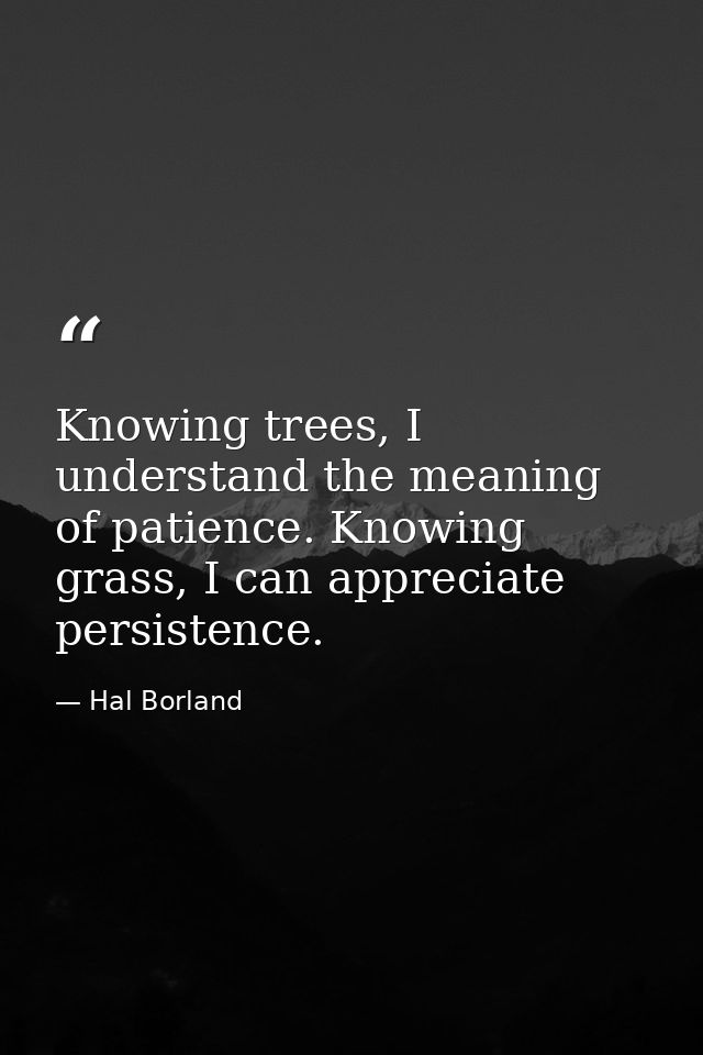 Knowing trees, I understand the meaning of patience. Knowing grass, I can appreciate persistence. — Hal Borland