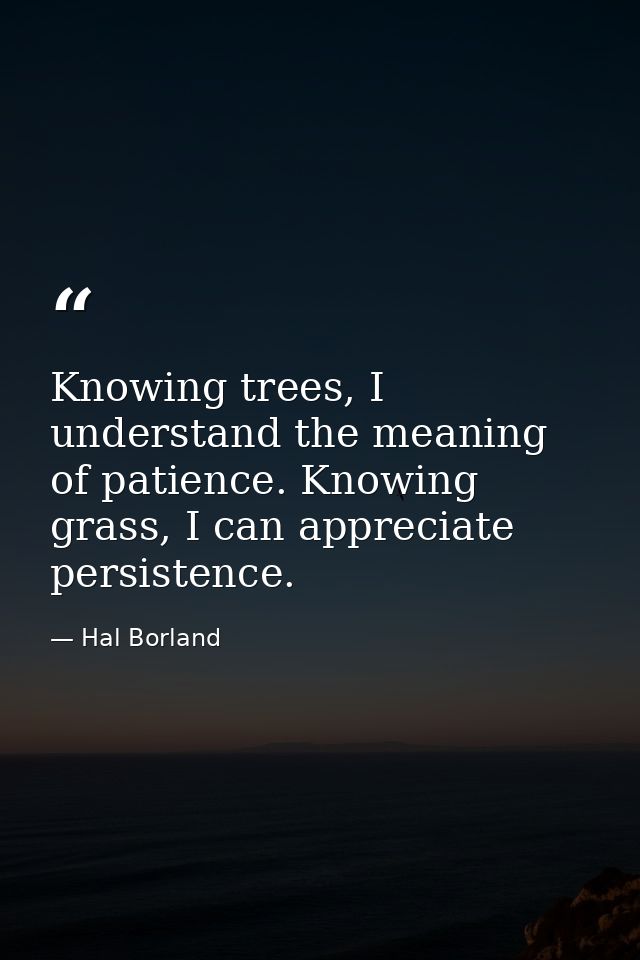 Knowing trees, I understand the meaning of patience. Knowing grass, I can appreciate persistence. — Hal Borland